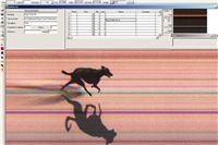 Big_Daddy_Gucci_Czech_Greyhound_Racing_Federation_trial.jpg