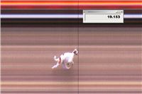 Big_Daddy_Louis_First_Solo_Racing_2012_Czech_Greyhound_Racing_Federation.jpg