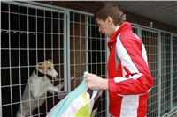 First_Solo_Racing_2012_Czech_Greyhound_Racing_Federation_IMG_4001.jpg