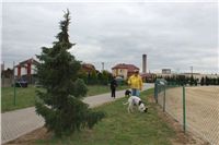 First_Solo_Racing_2012_Czech_Greyhound_Racing_Federation_IMG_4058.JPG