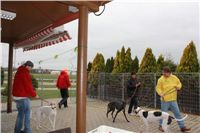 First_Solo_Racing_2012_Czech_Greyhound_Racing_Federation_IMG_4060.JPG