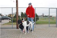 First_Solo_Racing_2012_Czech_Greyhound_Racing_Federation_IMG_4065.JPG