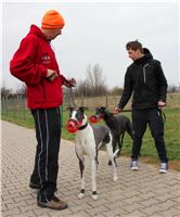 First_Solo_Racing_2012_Czech_Greyhound_Racing_Federation_IMG_4122.jpg