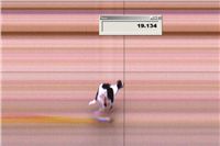 Galrea_Chanel_First_Solo_Racing_2012_Czech_Greyhound_Racing_Federation.jpg