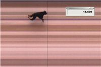 Mellison_Kewell_First_Solo_Racing_2012_Czech_Greyhound_Racing_Federation.jpg