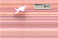 Queen_Vuitton_First_Solo_Racing_2012_Czech_Greyhound_Racing_Federation.jpg