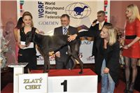 Golden_Greyhound_Awards_winners_Czech_Greyhound_Racing_Federation_2120324_262_LQ.jpg