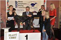 Golden_Greyhound_Awards_winners_Czech_Greyhound_Racing_Federation_2120324_263_LQ.jpg
