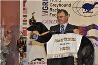 Golden_Greyhound_Awards_winners_Czech_Greyhound_Racing_Federation_2120324_275_LQ.jpg