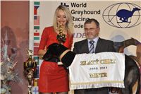 Golden_Greyhound_Awards_winners_Czech_Greyhound_Racing_Federation_2120324_276_LQ.jpg