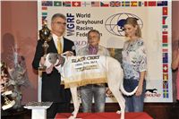 Golden_Greyhound_Awards_winners_Czech_Greyhound_Racing_Federation_2120324_284_LQ.jpg