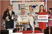 Golden_Greyhound_Awards_winners_Czech_Greyhound_Racing_Federation_2120324_289_LQ.jpg