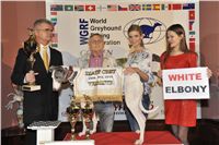Golden_Greyhound_Awards_winners_Czech_Greyhound_Racing_Federation_2120324_292_LQ.jpg
