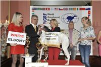 Golden_Greyhound_Awards_winners_Czech_Greyhound_Racing_Federation_2120324_307_LQ.jpg