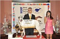 Golden_Greyhound_Awards_winners_Czech_Greyhound_Racing_Federation_2120324_322_LQ.jpg