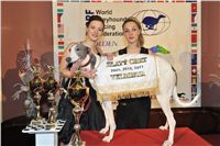 Golden_Greyhound_Awards_winners_Czech_Greyhound_Racing_Federation_2120324_382_LQ.jpg