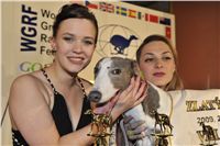 Golden_Greyhound_Awards_winners_Czech_Greyhound_Racing_Federation_2120324_384_LQ.jpg