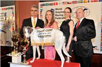 Golden_Greyhound_Awards_winners_Czech_Greyhound_Racing_Federation_2120324_389-u.jpg