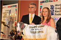 Golden_Greyhound_Awards_winners_Czech_Greyhound_Racing_Federation_2120324_392-u.jpg