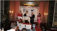 Golden_Greyhound_Awards_winners_Czech_Greyhound_Racing_Federation_DSC07025.JPG
