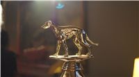 Golden_Greyhound_Awards_winners_Czech_Greyhound_Racing_Federation_DSC07161.JPG