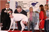 Golden_Greyhound_Awards_winners_Czech_Greyhound_Racing_Federation_FRH_7032.jpg
