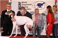 Golden_Greyhound_Awards_winners_Czech_Greyhound_Racing_Federation_FRH_7032.jpg