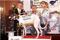 Golden_Greyhound_Awards_winners_Czech_Greyhound_Racing_Federation_FRH_7035.jpg