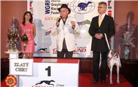 Golden_Greyhound_Awards_winners_Czech_Greyhound_Racing_Federation_FRH_7077.jpg