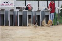 Second_Dual_Racing_2012_Czech_Greyhound_Racing_Federation_DSC07454.JPG