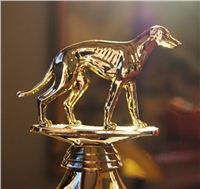 Golden_Greyhound_Czech_Greyhound_Racing_Federation_DSC07161-l-JPG.jpg
