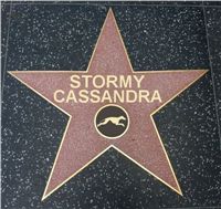 Greyhound_Star_Cassandra_Czech_Greyhound_Racing_Federation.jpg