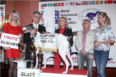 Golden_Greyhound_Awards_winners_Czech_Greyhound_Racing_Federation_FRH_7045.jpg