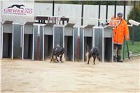 Second_Dual_Racing_2012_Czech_Greyhound_Racing_Federation_DSC07408.JPG