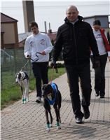 Third_Trial_Racing_2012_Czech_Greyhound_Racing_Federation_DSC07659.JPG