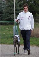 Third_Trial_Racing_2012_Czech_Greyhound_Racing_Federation_DSC07711.JPG