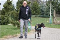 Third_Trial_Racing_2012_Czech_Greyhound_Racing_Federation_DSC07714.JPG