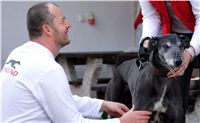 Third_Trial_Racing_2012_Czech_Greyhound_Racing_Federation_DSC07727.JPG