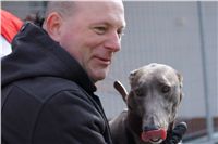 Third_Trial_Racing_2012_Czech_Greyhound_Racing_Federation_DSC07730.JPG