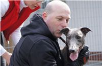 Third_Trial_Racing_2012_Czech_Greyhound_Racing_Federation_DSC07733.JPG