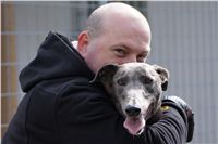 Third_Trial_Racing_2012_Czech_Greyhound_Racing_Federation_DSC07737.JPG