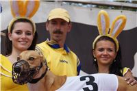 Chrti_dostihy_April_Cup_Ceska_greyhound_dostihova_federace_DSC02162.jpg