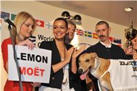 Lemon_Moet_Miss_CR_Jitka_Valkova_Golden_Greyhound_2010_Awards_269.jpg