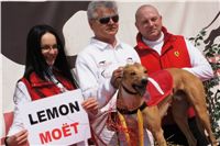 Winner_Lemon_Moet_April_Cup_12_Czech_Greyhound_Racing_Federation_DSC07857.jpg