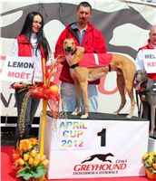 Winner_Lemon_Moet_April_Cup_12_Czech_Greyhound_Racing_Federation_IMG_4468.JPG