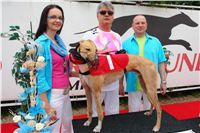 Winner_Lemon_Moet_Czech_Greyhound_Racing_Federation_DSC06886.JPG