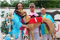 Winner_Lemon_Moet_Czech_Greyhound_Racing_Federation_DSC06889.JPG