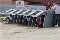 Winner_NewMac_Dior_Czech_Greyhound_Racing_Federation_IMG_4531.JPG