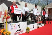 Winner_NewMac_Dior_Czech_Greyhound_Racing_Federation_IMG_4562.JPG