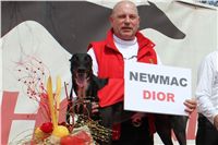 Winner_NewMac_Dior_Czech_Greyhound_Racing_Federation_IMG_4562-v.JPG